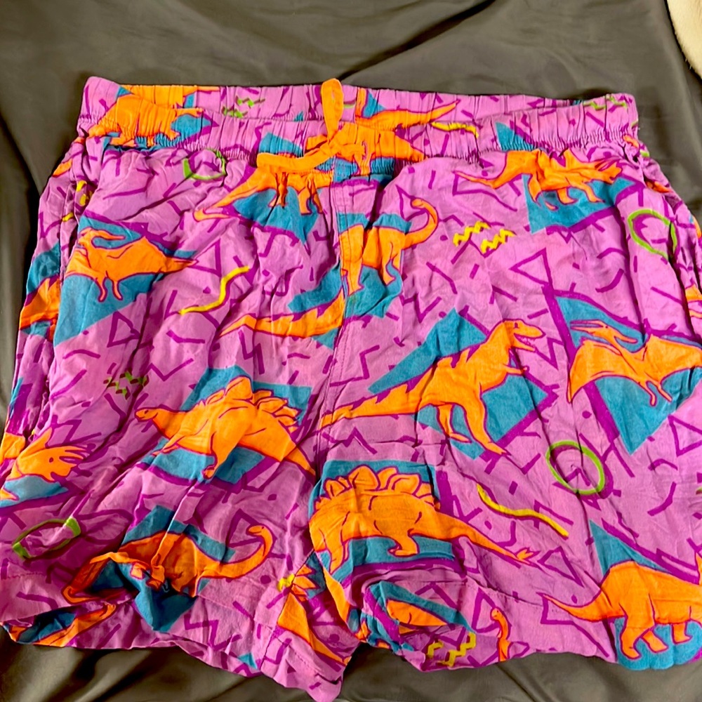 Men’s Chubbies “Dinosaur Sky’s Out Thighs Out” shorts size large